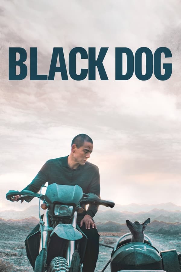 Subtitles for Black Dog